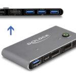 DELOCK DisplayPort