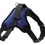 Σαμαράκι σκύλου