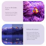 HOMATICS TV Box R 4K Plus, 4/32GB, WiFi, Google πιστοποίηση, Android 11 - Image 2