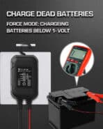 BYGD φορτιστής & συντηρητής μπαταρίας αυτοκινήτου S2000, 6-12V/2A - Image 2